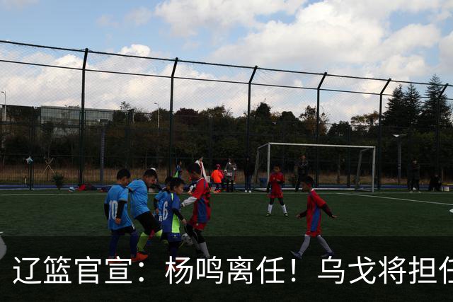 辽篮官宣：杨鸣离任！乌戈将担任辽宁男篮主帅